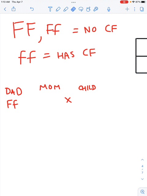 an-autosomal-recessive-allele-inherited-in-a-mendelian-manner-causes-the-disease-cystic-fibrosis-a-phenotypically-normal-man-whose-father-had-cystic-fibrosis-marries-an-unrelated-phenotypica-89974