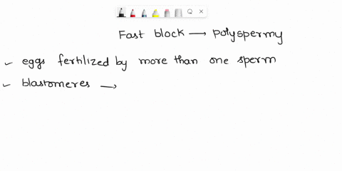 in the fast block to polyspermya how is the voltage difference across ...