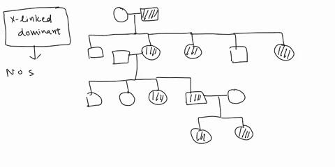 the-genetic-trait-shown-in-the-family-below-is-x-linked-dominant-because-the-trait-appears-in-every-generation-in-the-family-the-trait-appears-in-every-generation-in-the-family-and-some-male-91787