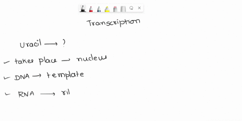 during-transcription-uracil-pairs-with-0-adenine-ribose-cytosine-thymine-28748