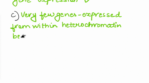 which-of-the-following-statements-about-chromatin-is-not-correct-a-histone-acetylation-is-an-epigenetic-tag-that-signals-for-the-initiation-of-gene-transcription-euchromatin-is-the-main-site-97407