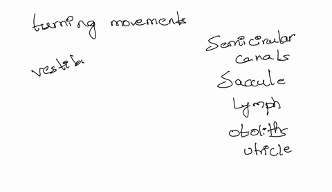 which-of-the-following-isare-associated-with-informing-the-brain-about-turning-movements-a-semicir-5-68908