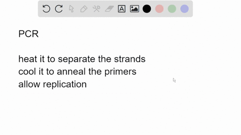 if-you-performed-a-pcr-experiment-starting-with-only-one-copy-of-double-stranded-dna-approximately-3-98985