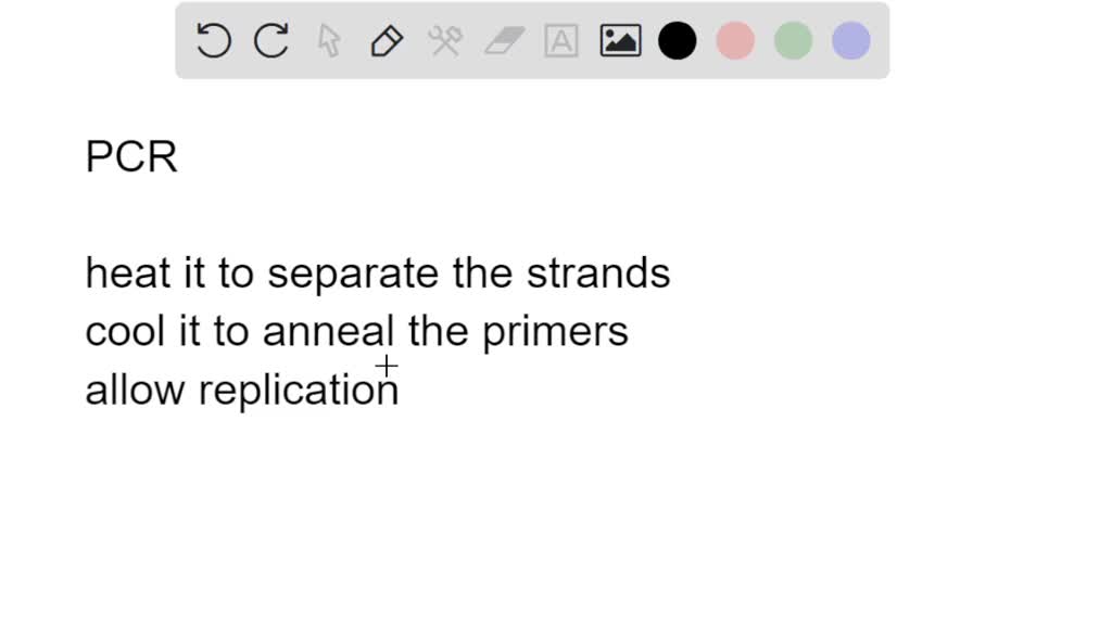 SOLVED You starta PCR with 1,000 molecules of DNA, an excess of primers and an excess of