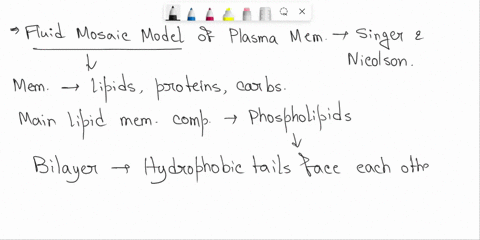 our-current-concept-of-the-plasma-membrane-is-called-the-fluid-mosaic-model-why-39367