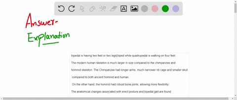 discuss-the-anatomical-differences-of-the-skeleton-between-bipedal-humans-and-quadrupedal-apes-97912