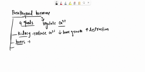 some-questions-have-more-than-one-correct-answer-select-the-best-answer-or-answers-from-the-choic-13-28405