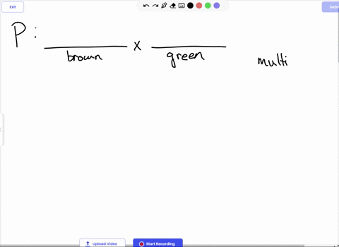 lane-lane-imagine-a-gene-for-eye-color-that-is-codominant-allele-1-e1-is-15-amino-acids-long-and-codes-for-brown-eyes-while-allele-2-e2-is-37-amino-acids-long-and-codes-for-green-_-eyes-hete-41198
