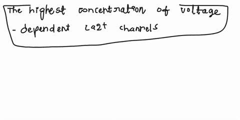 in-a-neuron-where-is-the-highest-concentration-of-voltage-dependent-ca-channels-o-nerve-terminal-omyelin-osynapse-with-inhibitory-neuron-node-of-ranvier-and-axon-hillock-odendrites-22063