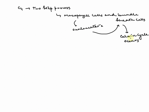 describe-the-different-ways-that-c4-and-cam-plants-carry-out-photosynthesis-when-compared-to-c3-plants-and-then-explain-in-each-case-why-these-differences-evolved-70005