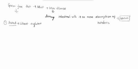 gluten-is-a-mixture-of-proteins-abundant-in-wheat-barley-and-rye-although-these-grains-are-staples-i-30112