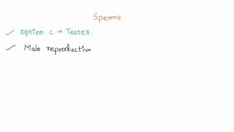 sperm-are-produced-in-the-glands-sperm-duct-testes-urinary-bladder-16496