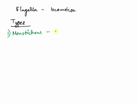 list-3-different-types-of-flagella-and-the-genus-of-bacteria-you-would-find-them-in-99284