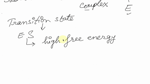 which-of-the-following-is-true-of-enzymes-they-increase-the-rate-of-reaction-by-stabilizing-the-transition-state-they-raise-activation-energy-to-shift-the-equilibrium-to-favor-the-products-t-33353