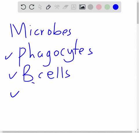 microbes-that-are-found-outside-our-cells-eg-in-body-fluids-or-extracellular-space-are-attackedcontrolled-by-the-following-except-1-complement-2-b-cells-3-phagocytes-4-antibodiesimmunoglobul-86772