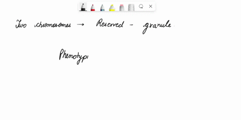three-genes-are-arranged-in-the-order-abc-mno-and-xyz-in-a-transformation-experiment-the-dna-is-made-from-a-prototrophic-strain-and-used-to-transform-a-triple-mutant-how-many-crossovers-woul-08047
