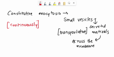question-37-which-true-of-the-constltutlve-exocytosis-pathway-packages-proteins-secretory-vesicles-that-accumulate-near-the-plasma-membrane-operates-continually-in-all-eukaryotic-cells-itrep-22717