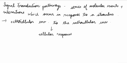 which-of-the-following-gives-a-correct-and-broadest-description-of-signal-transduction-pathways-a-binding-of-a-signal-molecule-to-a-cell-protein-b-catalysis-mediated-by-an-enzyme-c-sequence-91066