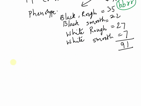 cont-white-allele-for-ovtt-the-in-guinea-pigs-the-allele-for-black-coat-color-b-is-dominant-olcr-dominant-cost-r-and-4-rough-at-an-independently-assorting-locus-allele-for-rough-coat-black-c-86887
