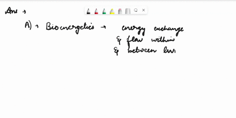 the-study-of-energy-transfer-in-an-ecosystem-at-different-trophic-levels-is-known-as-a-bioenergetics-b-geobiocoenosis-c-holocoenosis-d-biosystem-83068