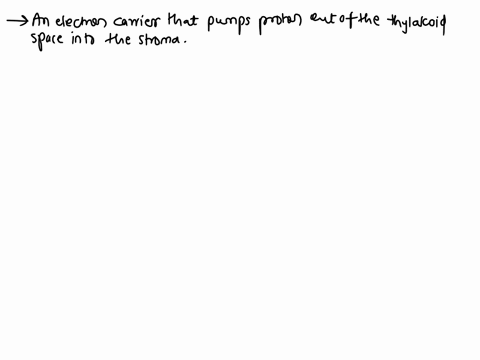 the-proton-gradient-that-drives-atp-synthesis-during-photosynthesis-is-generated-by-which-of-the-following-choose-one-an-electron-carrier-that-pumps-protons-out-of-the-thylakoid-space-into-t-22522
