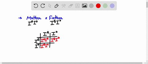 blood-type-in-humans-is-an-example-of-a-trait-that-has-multiple-alleles-the-alleles-for-type-a-blood-and-type-b-blood-are-codominant-and-type-o-blood-is-recessive-to-both-type-a-and-type-b-i-90453