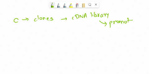 which-of-the-following-statements-are-correct-explain-your-answers-a-restriction-nucleases-cut-dna-2-59686