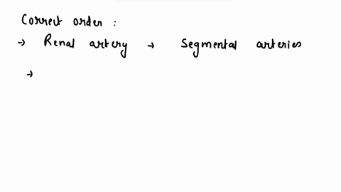 part-a-drag-the-labels-onto-the-dlagram-to-identify-the-arteries-that-supply-blood-to-the-kidncy-allurunt-arteriolos-corienl-rdulo-nnorins-arcuato-arorto-segmonial-artorius-renal-artery-goma-61337