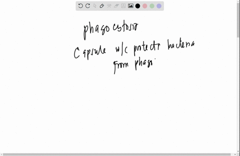 i-need-help-with-this-question-please-the-virulent-form-of-streptococcus-pyogenes-produces-a-capsule-made-of-hyaluronic-acid-other-strains-of-s-pyogenes-that-do-not-produce-a-capsule-are-not-96987
