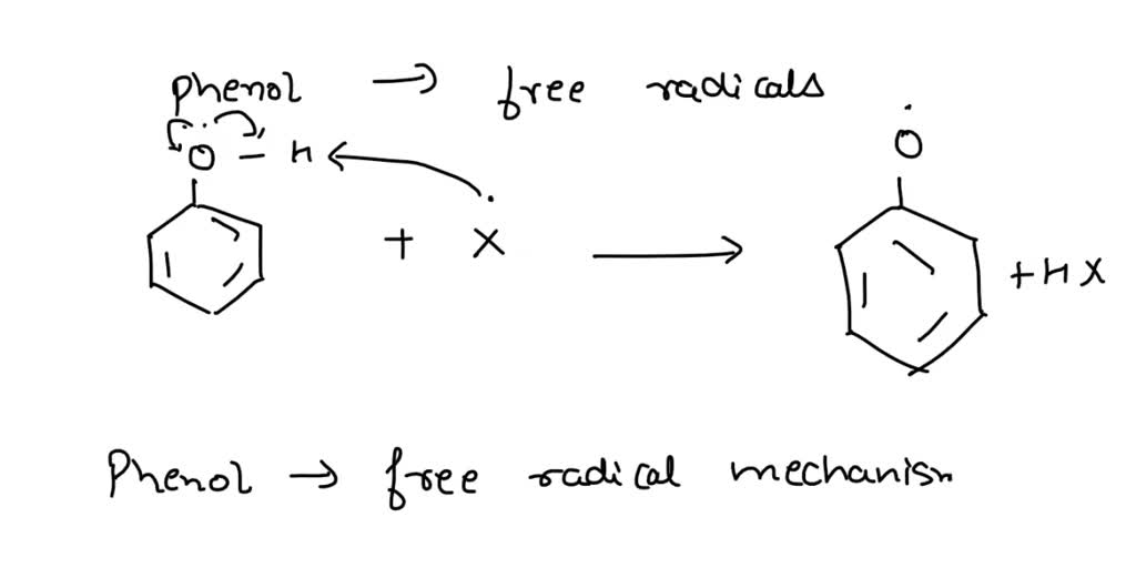 solved-2-write-an-equation-showing-how-phenol-captures-free-radicals