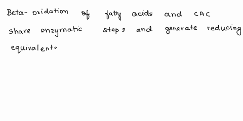 describe-how-reactions-in-the-beta-oxidation-of-fatty-acids-resemble-steps-within-the-citric-acid-cycle-compare-and-contrast-how-these-steps-in-each-process-cac-vs-b-oxidation-are-similar-or-75892