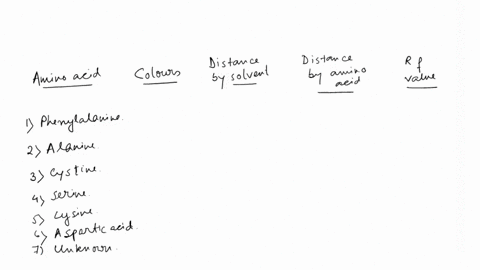 questions-and-problems-phenylalanine-write-the-structure-ofthe-ionized-form-of-ind-fldenyn-loon-chromatography-of-amino-acids-spots-attach-the-original-draw-your-chromatogram-ineluding-the-c-40802