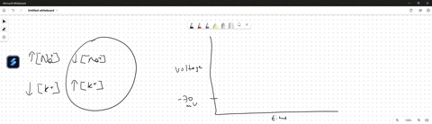 draw-a-diagram-to-represent-the-amounts-and-kinds-of-ions-present-inside-and-outside-of-the-cell-membrane-at-resting-membrane-potential-and-when-an-action-potential-is-generated-note-that-an-32396
