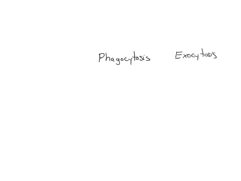 5-endocytesls-and-exacytosls-cells-can-transport-sobritances-larger-than-amino-acids-or-monosaccharides-using-procesves-soch-as-exocytosis-and-phagocytosls-compare-these-two-procespes-is-the-following