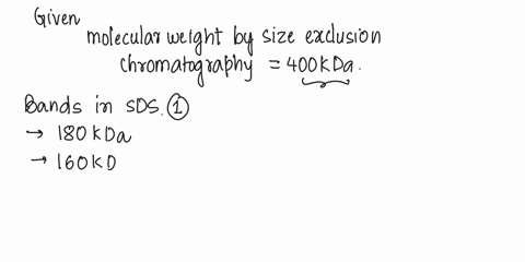 amino-acids-peptides-and-proteins-5-35-subunit-composition-of-protein-protein-has-molecular-mass-of-400-kda-when-measured-by-bel-iiltration-when-subjected-to-gel-electrophoresis-the-presence-14564
