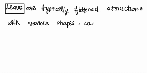 describe-the-characteristics-arrangement-and-classification-of-leaves-describe-the-functions-of-the-dermal-tissue-vascular-tissue-and-ground-tissue-systems-distinguish-among-annual-biennial-85623