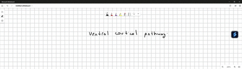 4-a-4-29-_-0j-40-130-342-question-20-15-pts-doris-was-in-a-car-accident-that-resulted-in-damage-to-the-ventral-cortical-pathways-of-processing-visual-information-which-of-the-following-defic-52062