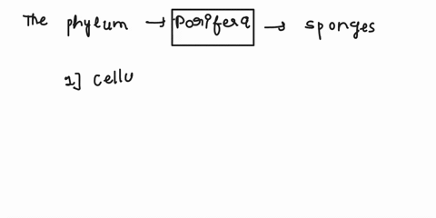 ansvvvbhkkifffhoojjgggfdfghgfddddddbjjkokhghj-identify-the-phylum-the-given-animal-and-write-any-two-characteristics-of-this-phylum-section-science-technology-part-2-379-12713