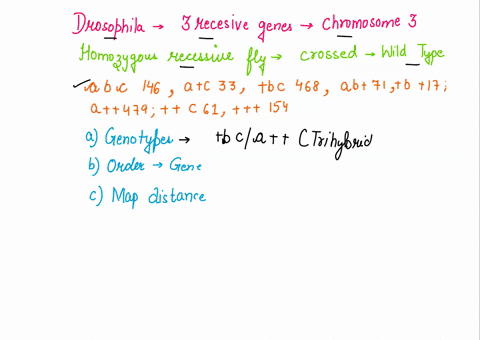 in-drosophila-three-recessive-genes-a-b-and-c-are-linked-on-chromosome-3-a-homozygous-recessive-fly-is-crossed-with-a-wild-type-fly-the-f1-flies-show-the-following-distribution-of-phenotypes-23299
