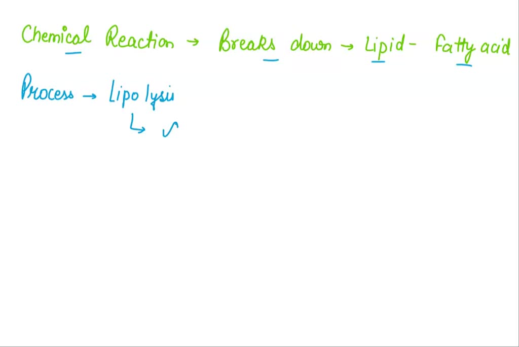 SOLVED: Question 1: A Chemical Reaction That Breaks Down A Lipid Into ...