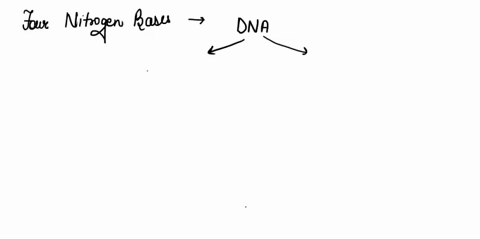 the-four-nitrogenous-bases-found-in-dna-are-cytosine-thymine-adenine-and-deoxyribose-sugar-true-false-63051