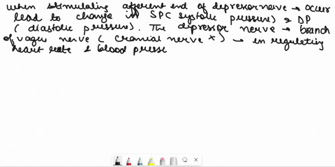 what-happened-to-spdp-when-stimulate-the-afferent-end-of-depressor-nerve-please-describe-the-possible-mechanisms-96527