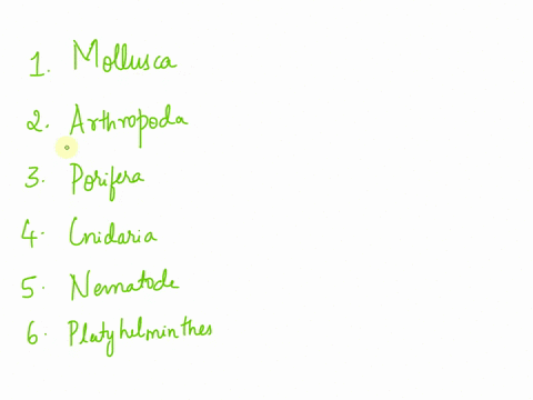 question-13-5-pts-match-the-organism-group-to-the-best-description-this-phylum-contains-structures-mollusca-such-as-mantle-foot-radula_-and-viscerab-mass_-insects-such-as-diptera-hymenoptera-45824
