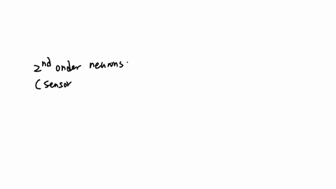 35-multiple-choice-2-points-second-order-neurons-and-third-order-neurons-in-an-ascending-pathway-synapse-in-the-basal-nuclei-dorsal-horn-of-spinal-cord-gray-matter-thalamus-cerebral-cortex-hypothalamu