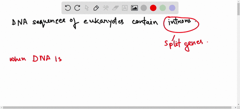 sometimes-knowing-the-dna-sequence-of-a-gene-that-codes-for-a-protein-does-not-tell-you-the-amino-2-95969
