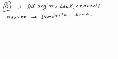 1-____-of-the-neuron-experiences-resting-membrane-potential-because-of-the-presence-of-____-that-are-the-dominant-contributors-to-the-process-a-dendrites-pumps-b-soma-ligand-gated-channels-c-26095