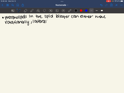 which-one-of-the-following-statements-are-true-a-transverse-movement-of-membrane-proteins-and-lipids-cannot-occur-across-the-lipid-bilayer-spontaneous-without-using-external-energy-because-i-11449