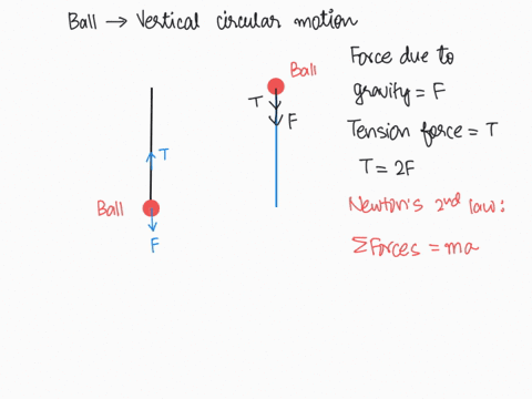 3-a-ball-is-swung-in-a-vertical-circle-such-that-at-one-point-along-its-circular-path-the-forces-exerted-on-the-ball-can-be-represented-by-the-free-body-diagram-the-magnitude-of-the-tension-84077