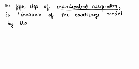 what-is-the-fifth-step-of-endochondral-ossification-08977