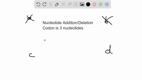 part-a-assuming-the-genetic-code-is-a-triplet-what-effect-would-the-addition-or-loss-of-two-nucleotides-have-on-the-reading-frame-it-will-have-no-effect-on-the-reading-frame-it-will-have-no-05001
